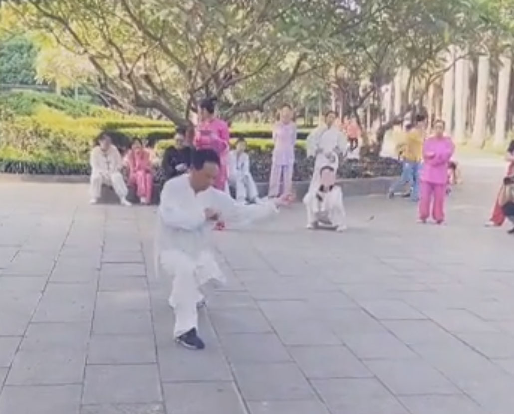 府内派太极综合拳