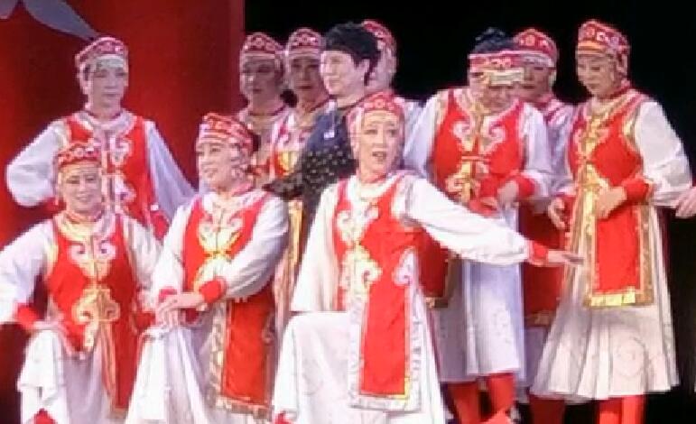 携手为老幸福夕阳文艺演出
