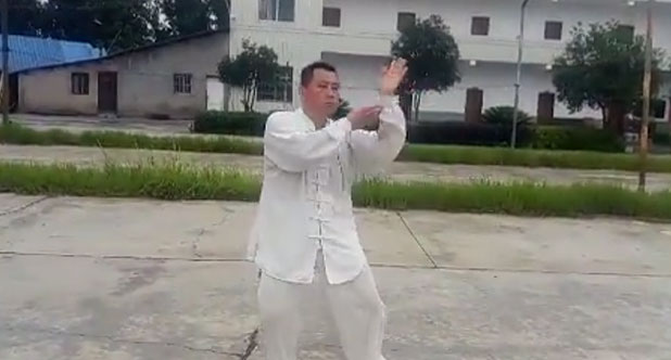 陈氏太极新架二路