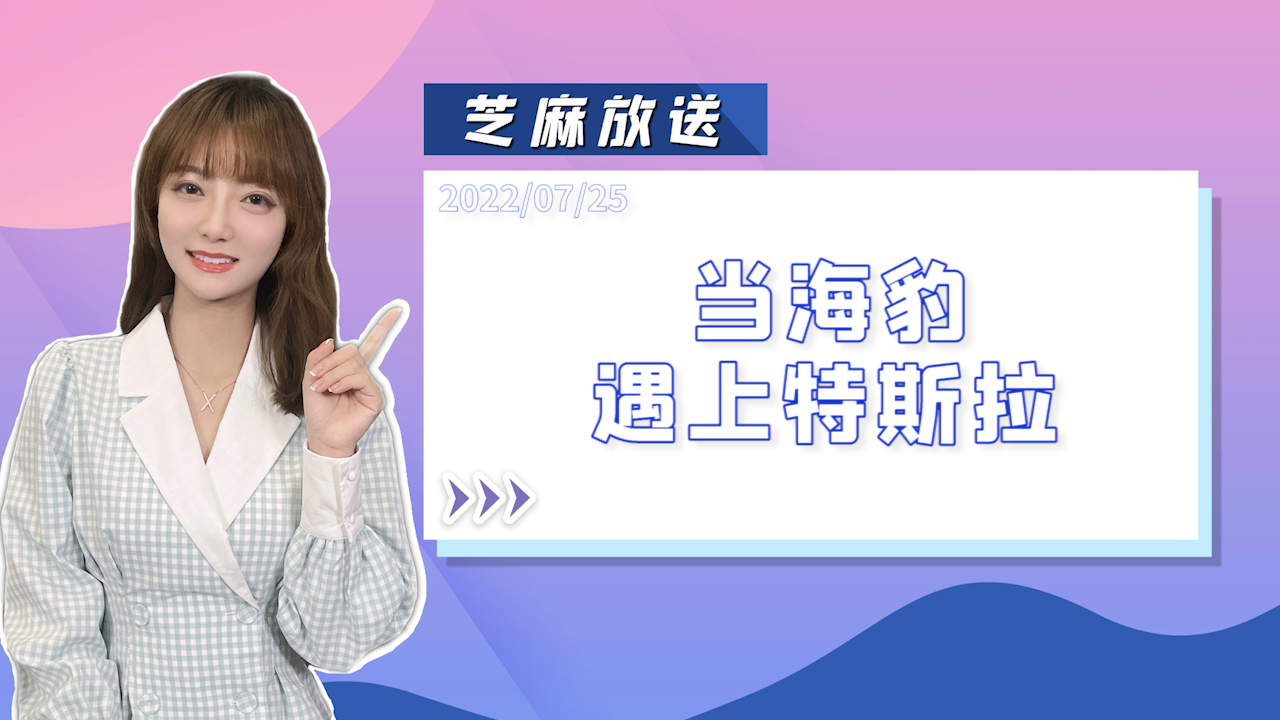 《芝麻放送》当比亚迪海豹遇上特斯拉