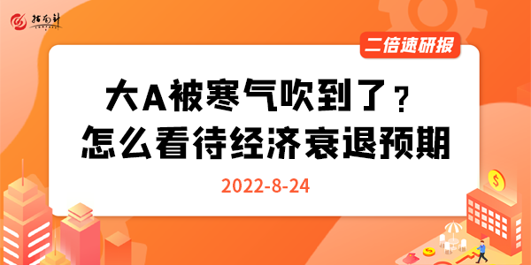 《二倍速研报》大A被寒气吹到了？怎么看待任正非关于经济衰退的预期？