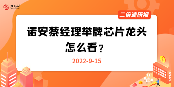 《二倍速研报》诺安蔡经理举牌芯片龙头，怎么看？