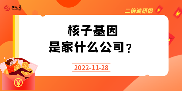 《二倍速研报》核子基因是家什么公司？